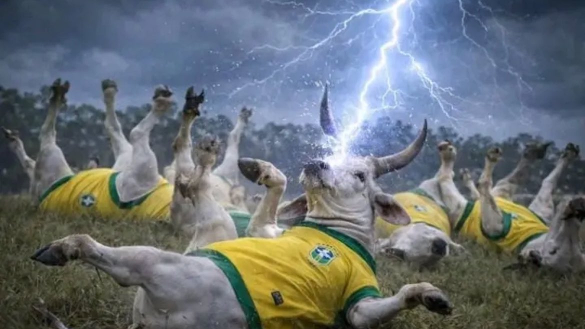 ntlopesz's tweet photo. @Vozdobrasilbr https://t.co/W33HWSvI3g