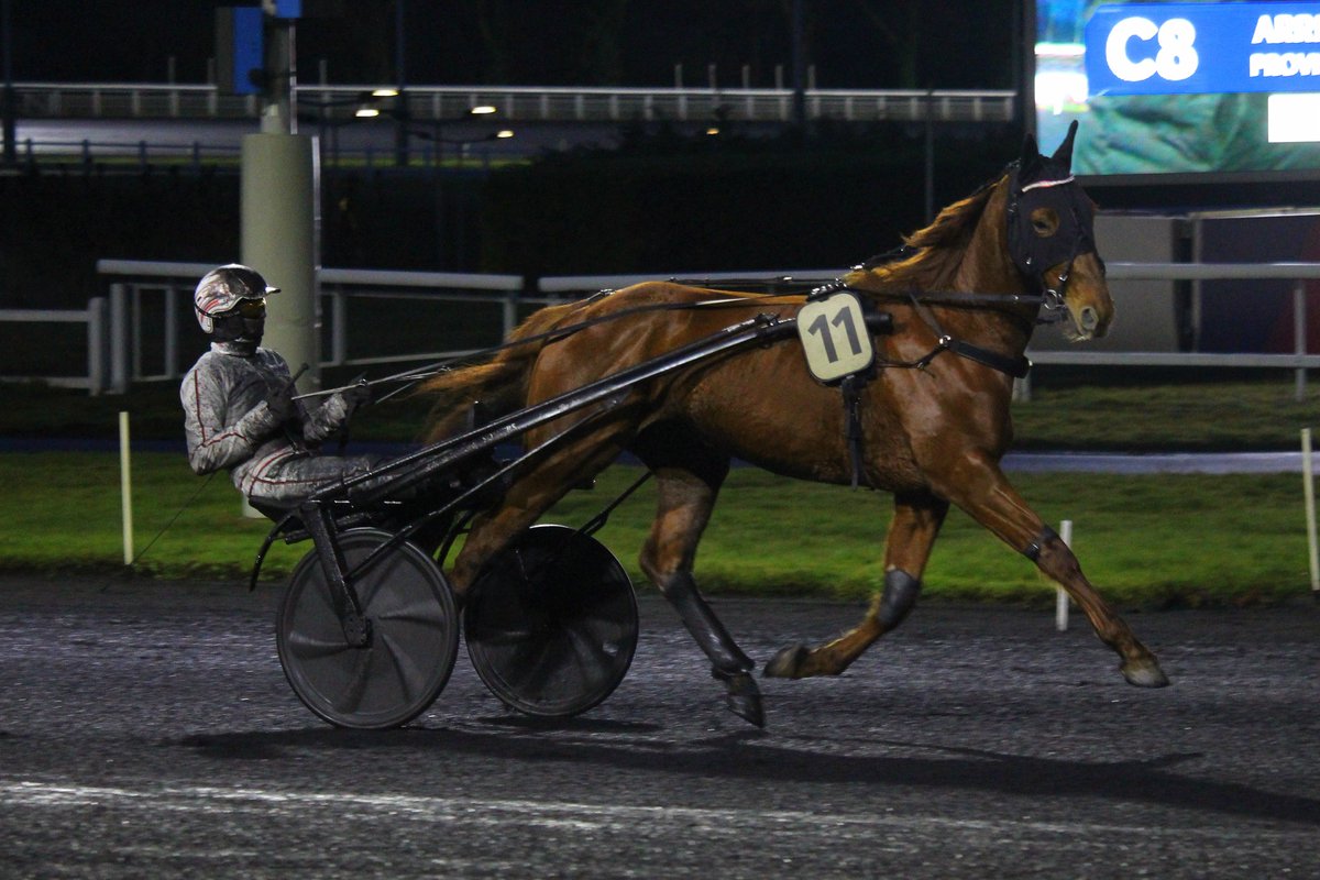 mondor44 tweet media