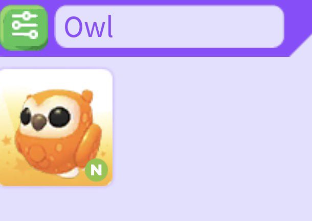 Jackson/Jack 1k+ chickens 🐔 tweet media