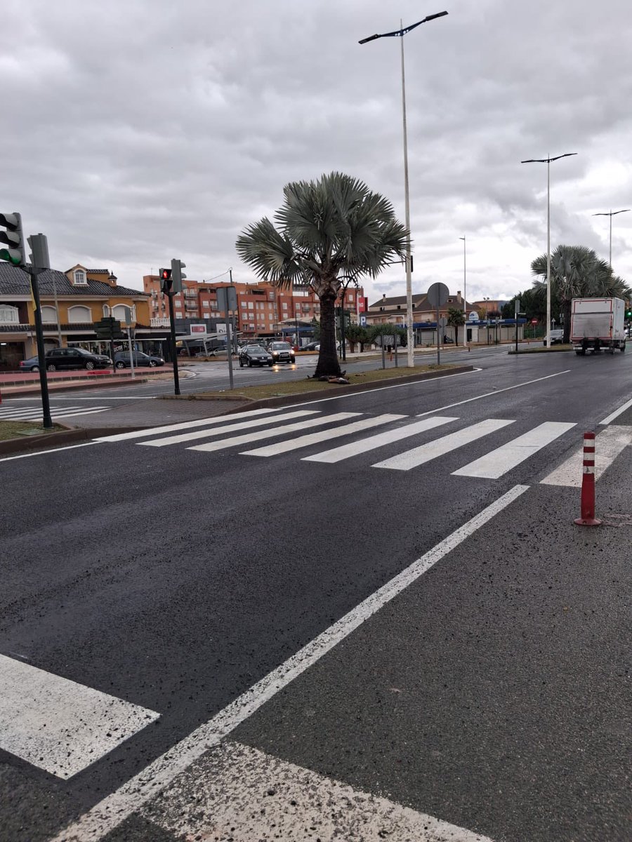 Partido Popular de Murcia tweet media