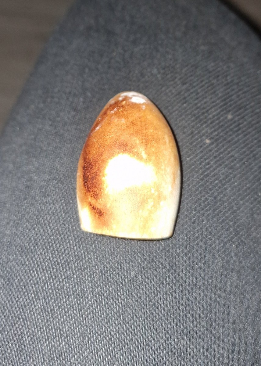 Benjamin Ward 🌱 tweet media