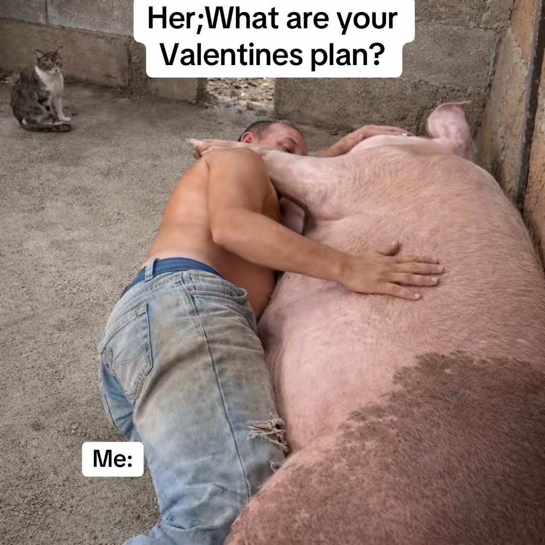 😂😂😂