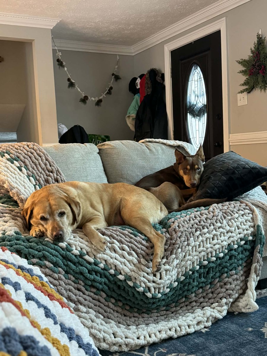 corysix6's tweet photo. @Brettdasovic Barley and Rizzo resting on a snow day #pccpets https://t.co/J3IiNT2ucN