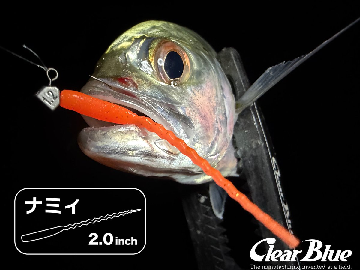 ［ナミィ 2.0inch］
 
動きすぎないテール！🤣👍
特殊な波型形状が水流をしっかり掴む！🤣👈

#PR #clearblue #アジング #しんさんの釣り #四国青組
