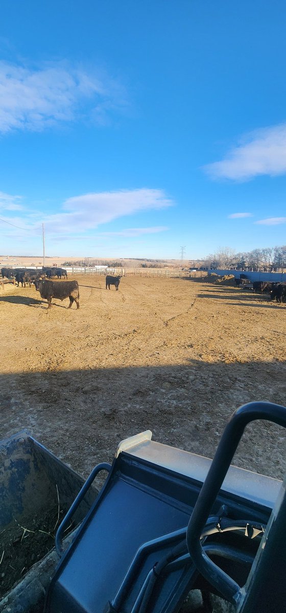 Austin Huggins tweet media