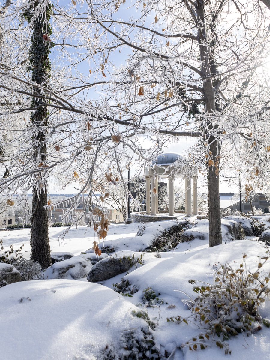 Western Kentucky University tweet media