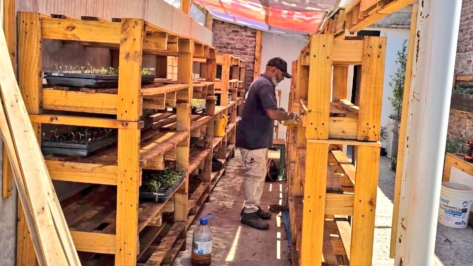 Luego del trabajo sobre nuestro invernadero, reparación de estanterías y pintado, de ponerlo óptimo para este 2026, de haber entregado todos los plantines de hortalizas primavera/verano🌞 y ornamentales, hoy comenzamos un nuevo ciclo de siembra🌱.

La siembra otoño/invierno ya se