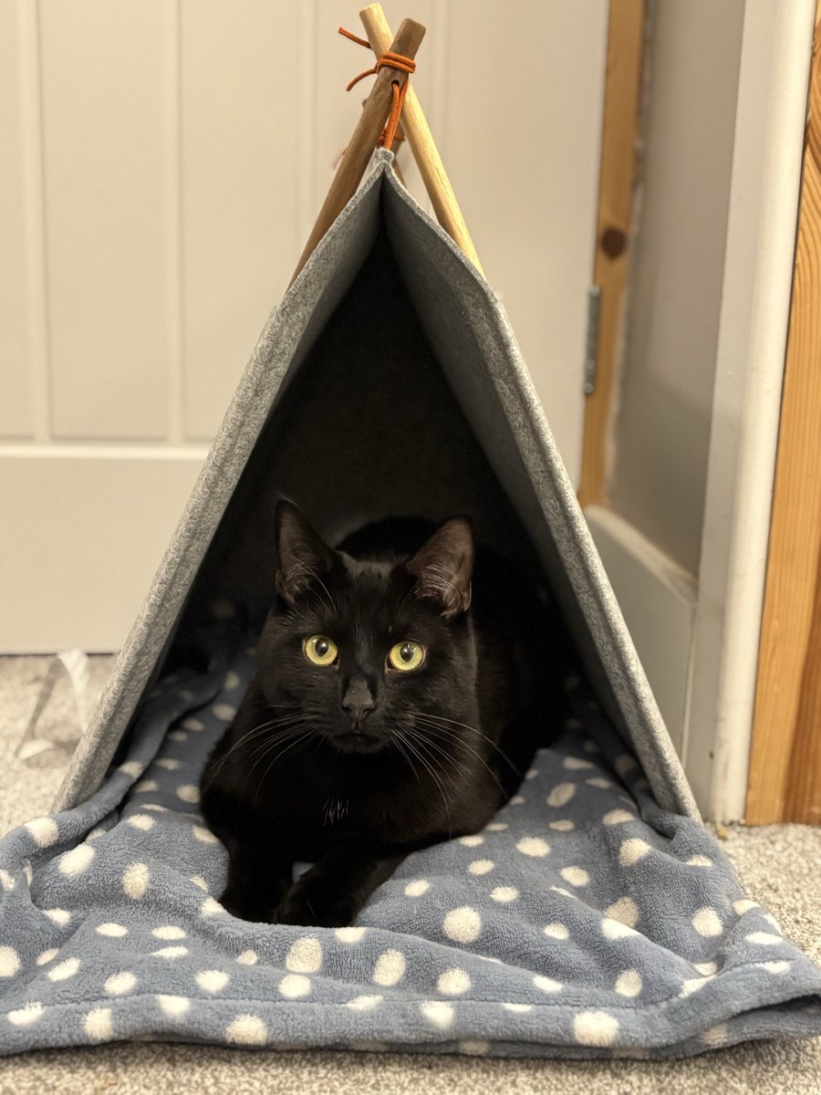 Rachel Sian tweet media