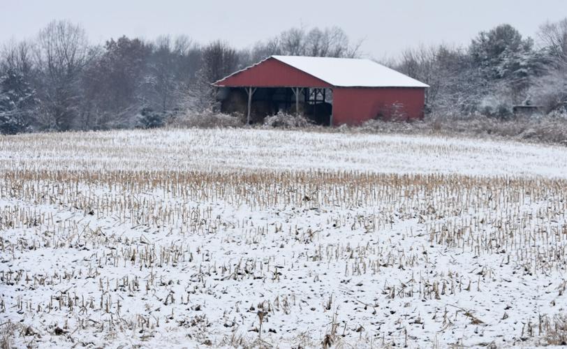 MauserInsurance's tweet image. Even though we're still in the earlier part of winter, it's time to think ahead about THE 2026 #CROP #INSURANCE DEADLINE: March 15, 2026. With so many factors to consider, we are here to guide you as you proceed. Contact us today! MauserInsurance.com

#IowaAg #Soybeans #Corn