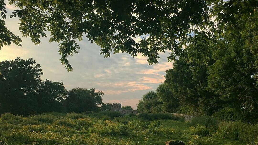 ᅠ ᅠ (@greendreaams) on Twitter photo 