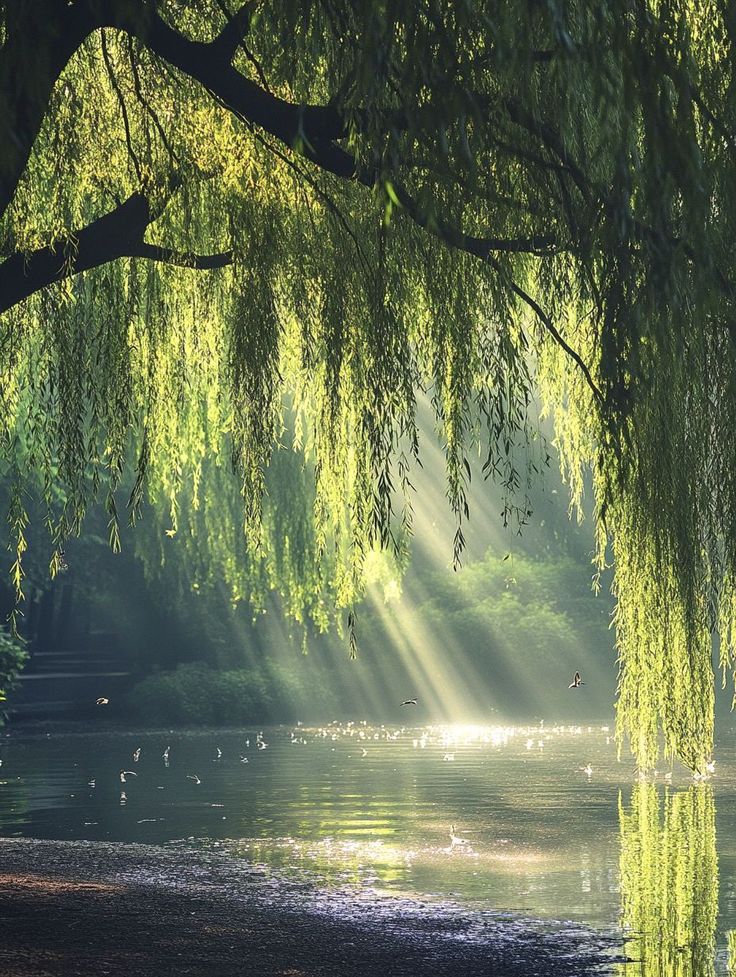 greenvibe's tweet image. 