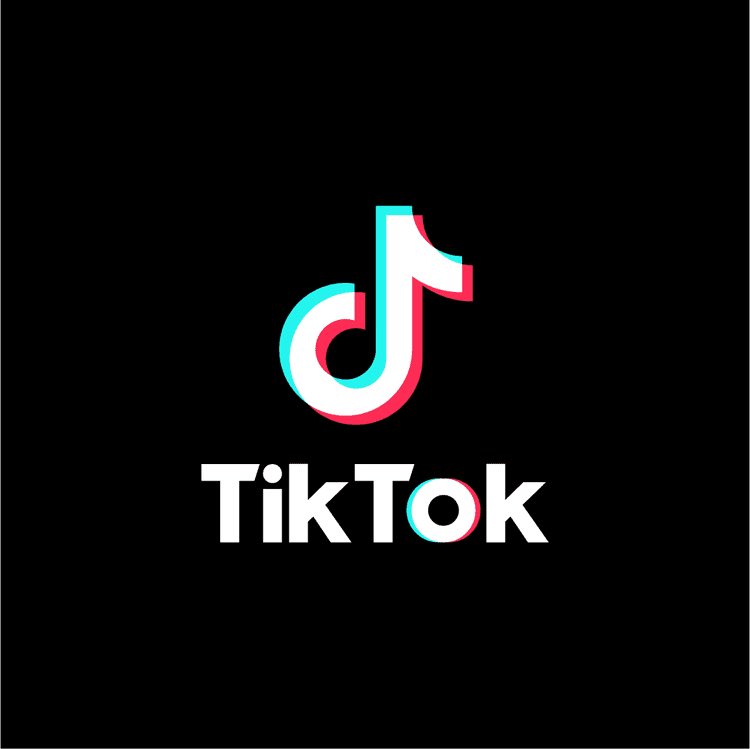 BREAKING: AFTER LARRY ELLISON TOOK OVER TIKTOK THIS WEEK ANY MENTION OF "EPSTEIN" IN DMS ARE NOT PERMITTED