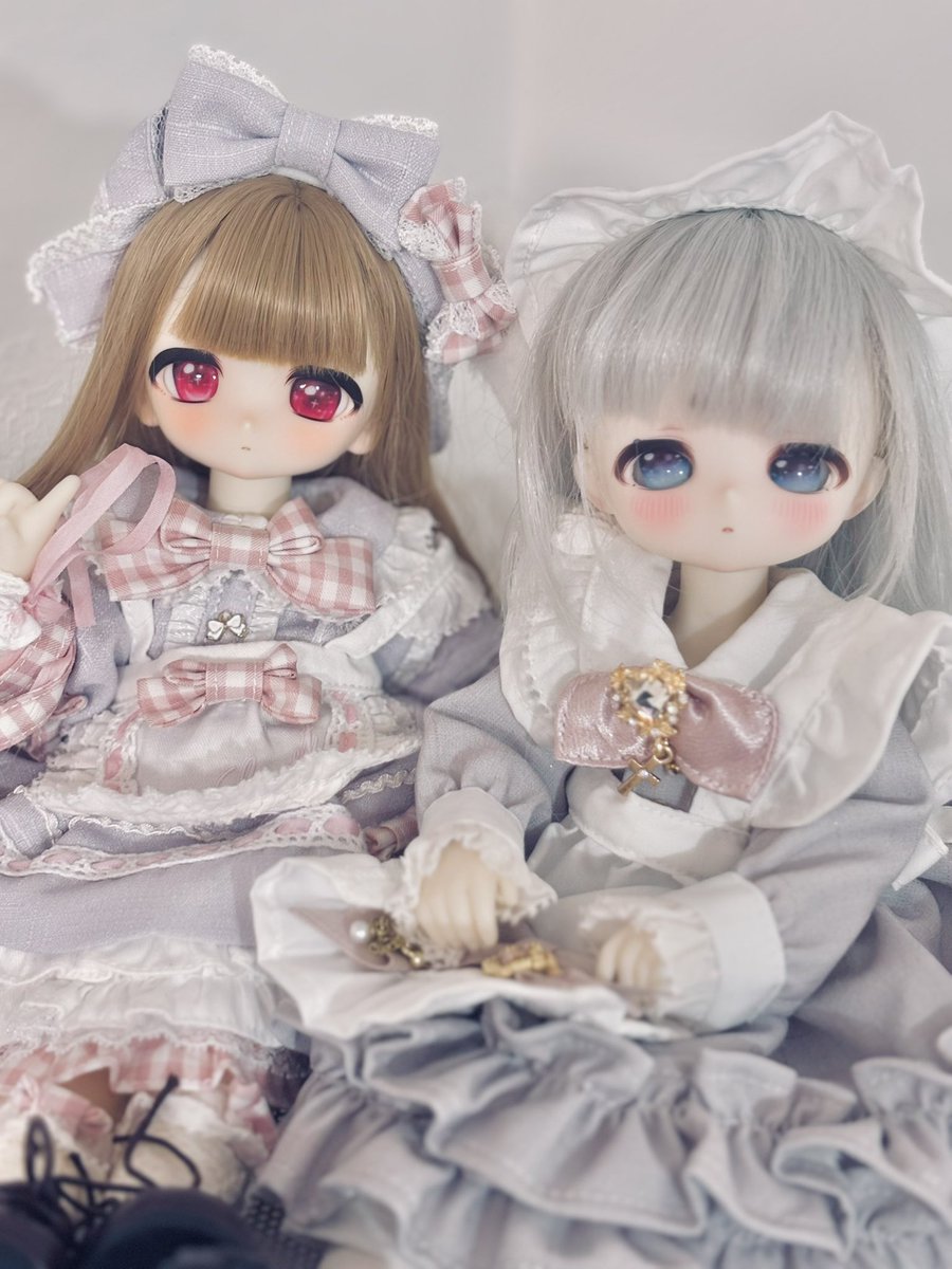 木茶動物園さんのお洋服がとどいたのでさっそく苺と衣に着てもらった( ˘͈ ᵕ ˘͈  )
ずっと欲しかったお洋服でうれしい🫶