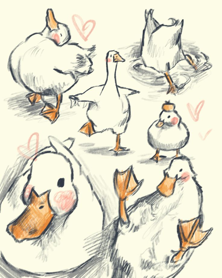 cutedreamvibes's tweet image. 