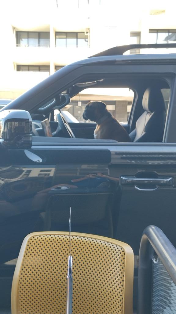 #AxelHappy tweet media