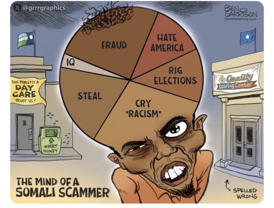 Somalians are literal airheads but make great democrat run thieves.