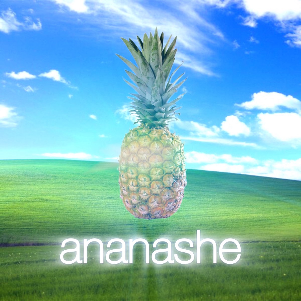 pelusa (@pelusafafaa) on Twitter photo 