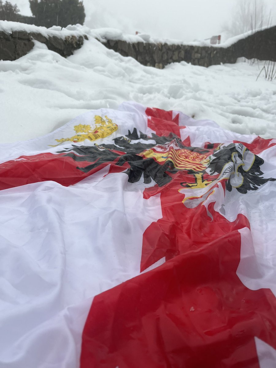 David Roca Mudarra tweet media