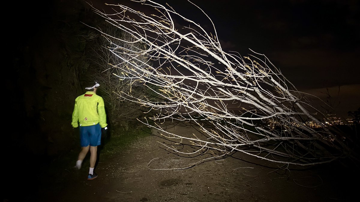 Carlos Márquez Daniel tweet media