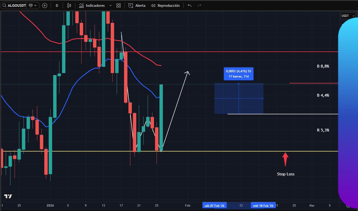 Usuarios comparten valoraciones 2026 sobre plataforma DUTT.bdv
