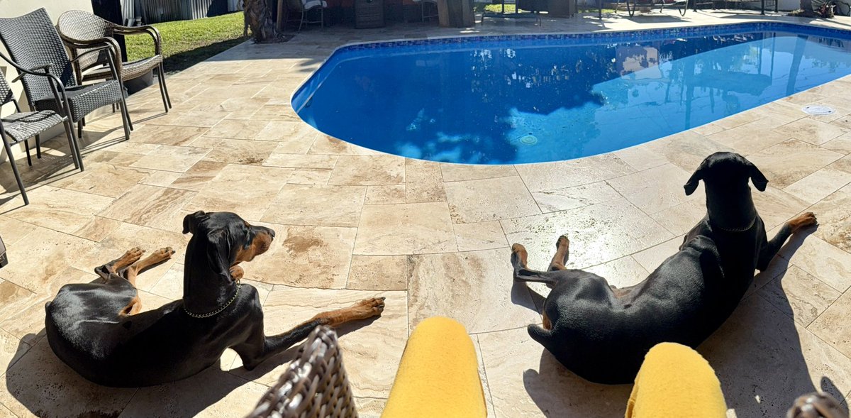 bodyarchitect (Raleigh, NC March 27th–29th) tweet media