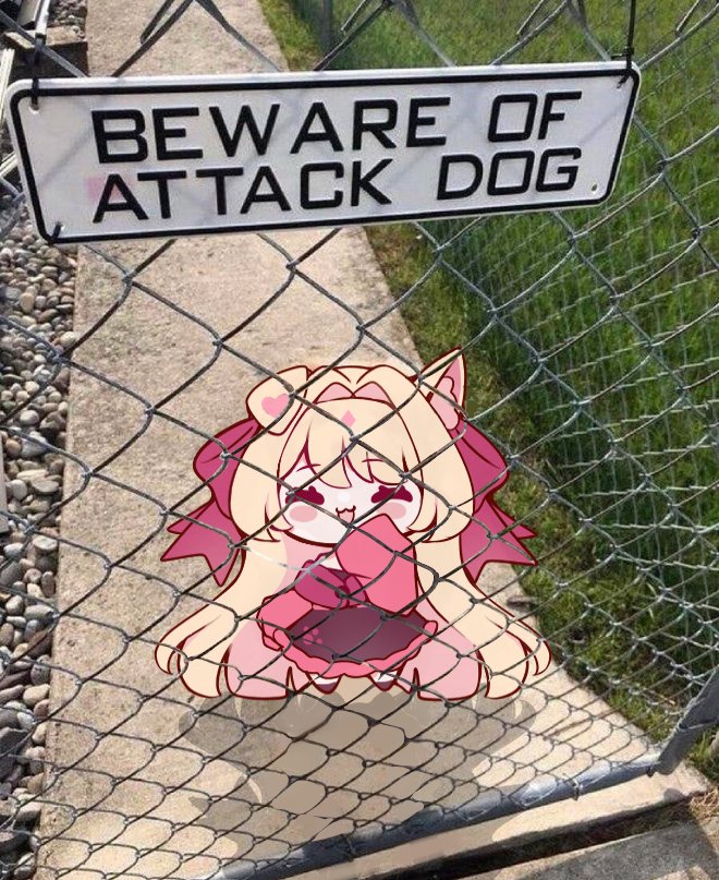 Lykara 🐾🩷 tweet media