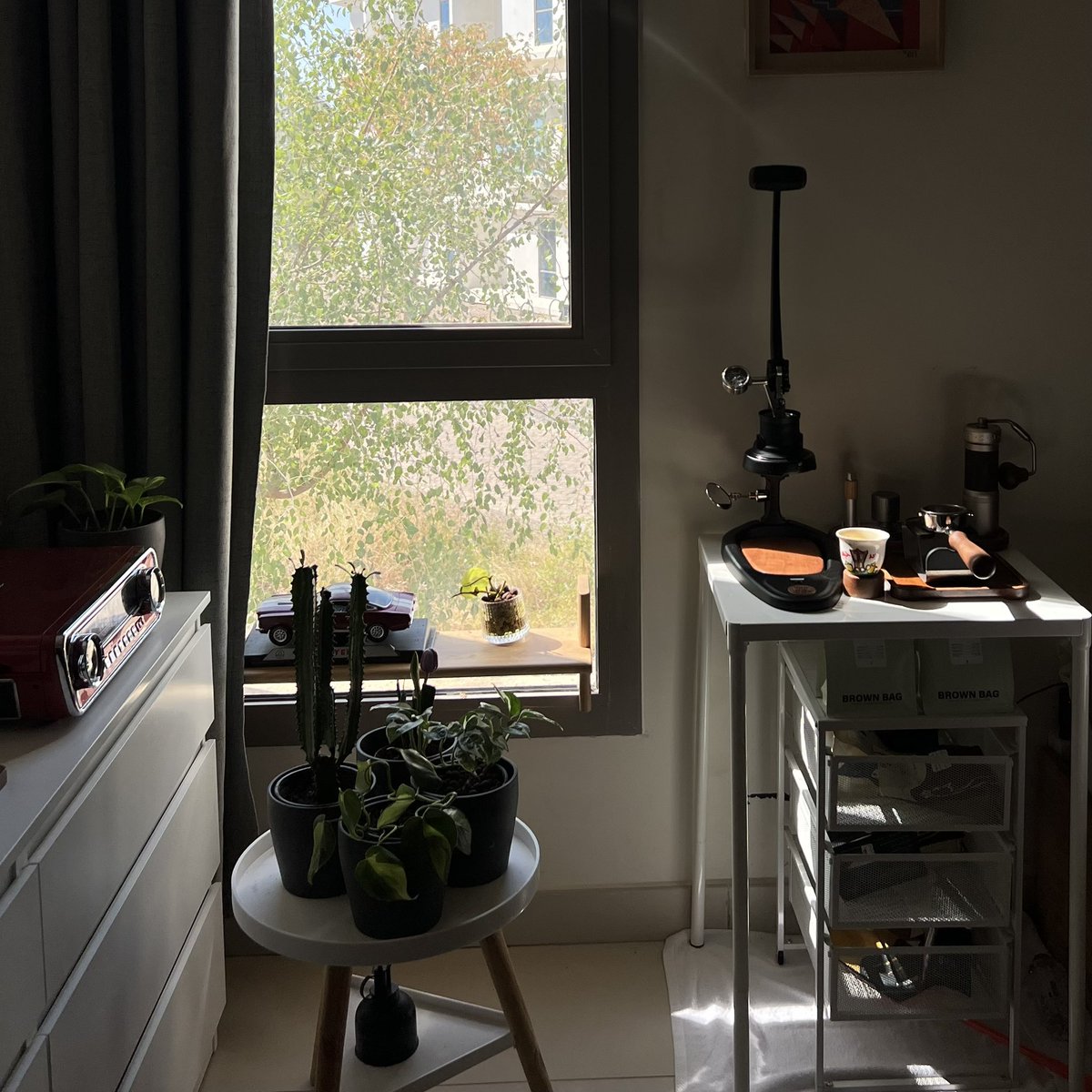 OwnDiscretion's tweet image. — ☕️