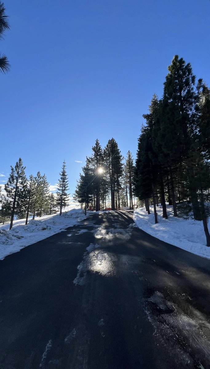 rennersource's tweet image. I love my neighbors ❤️