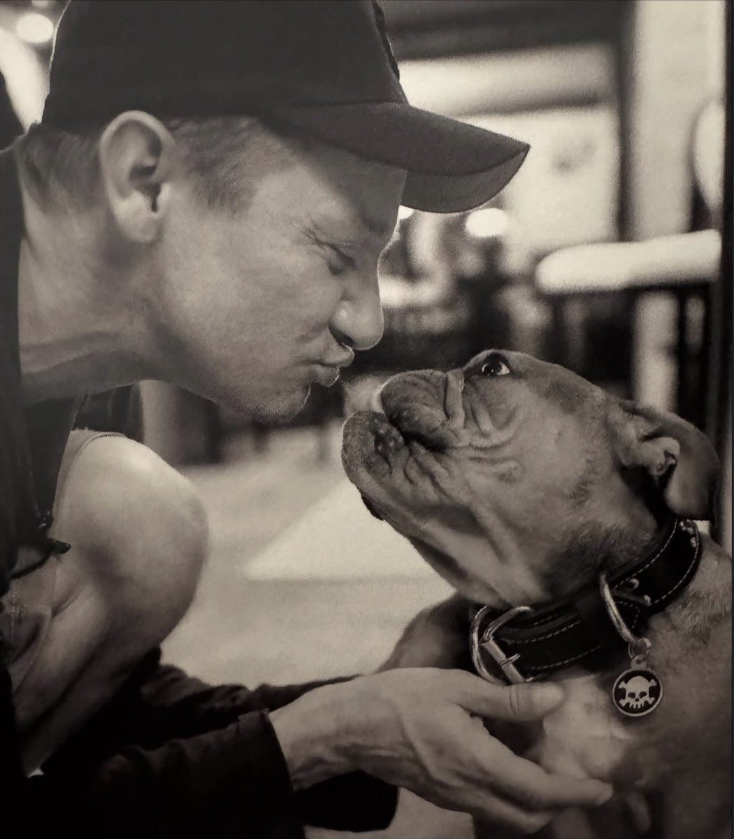 rennersource's tweet image. 