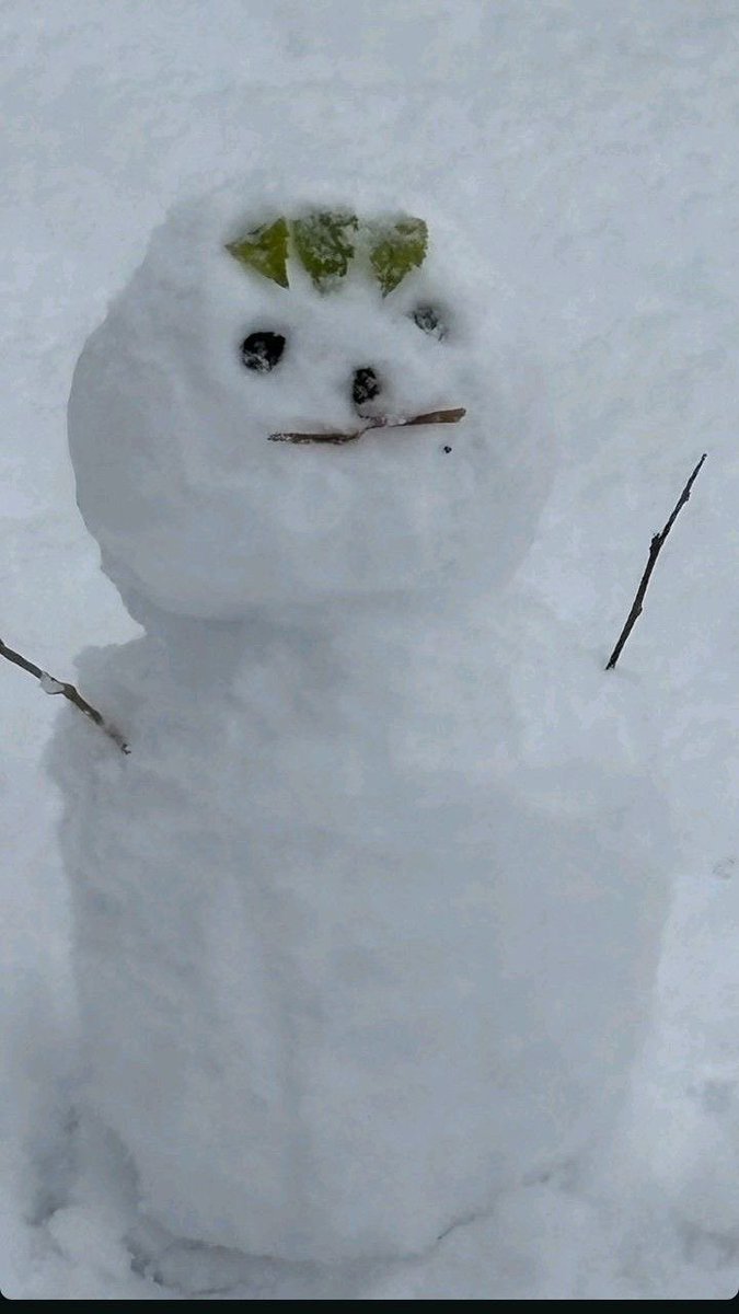 kttyfevers's tweet photo. ⋆꙳•̩̩͙❅*̩̩͙‧͙ Rae’s Blog Reopened‧͙*̩̩͙❆ ͙͛ ˚₊⋆

Hey everyone!! Make sure you’re being safe in all the snow it’s so chilly out TT https://t.co/ouewuiUAv0