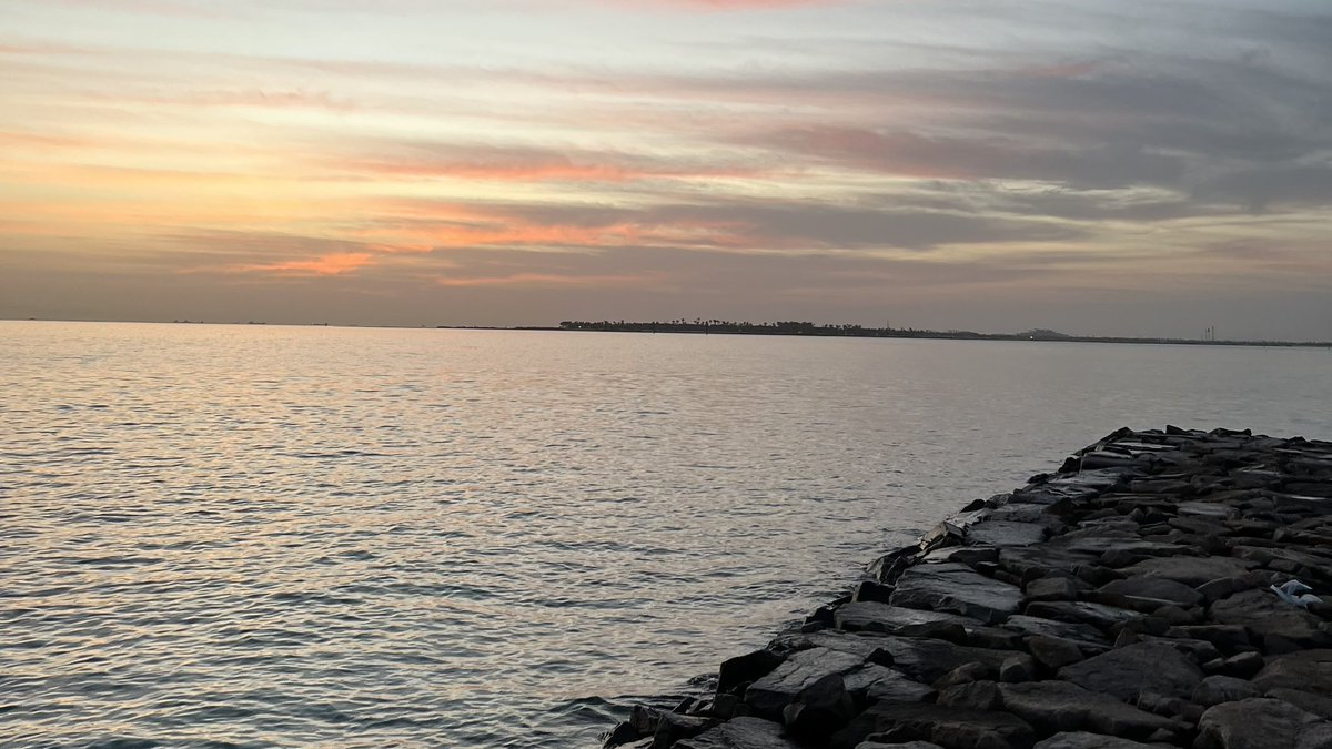 OwnDiscretion's tweet image. —