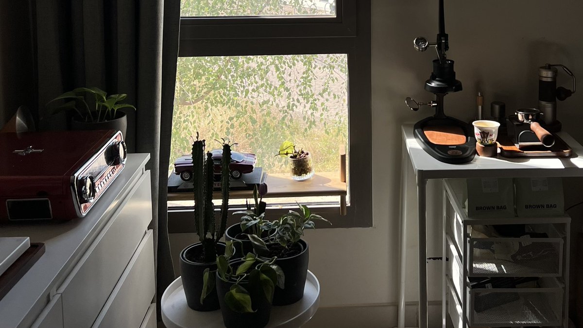 OwnDiscretion's tweet image. —