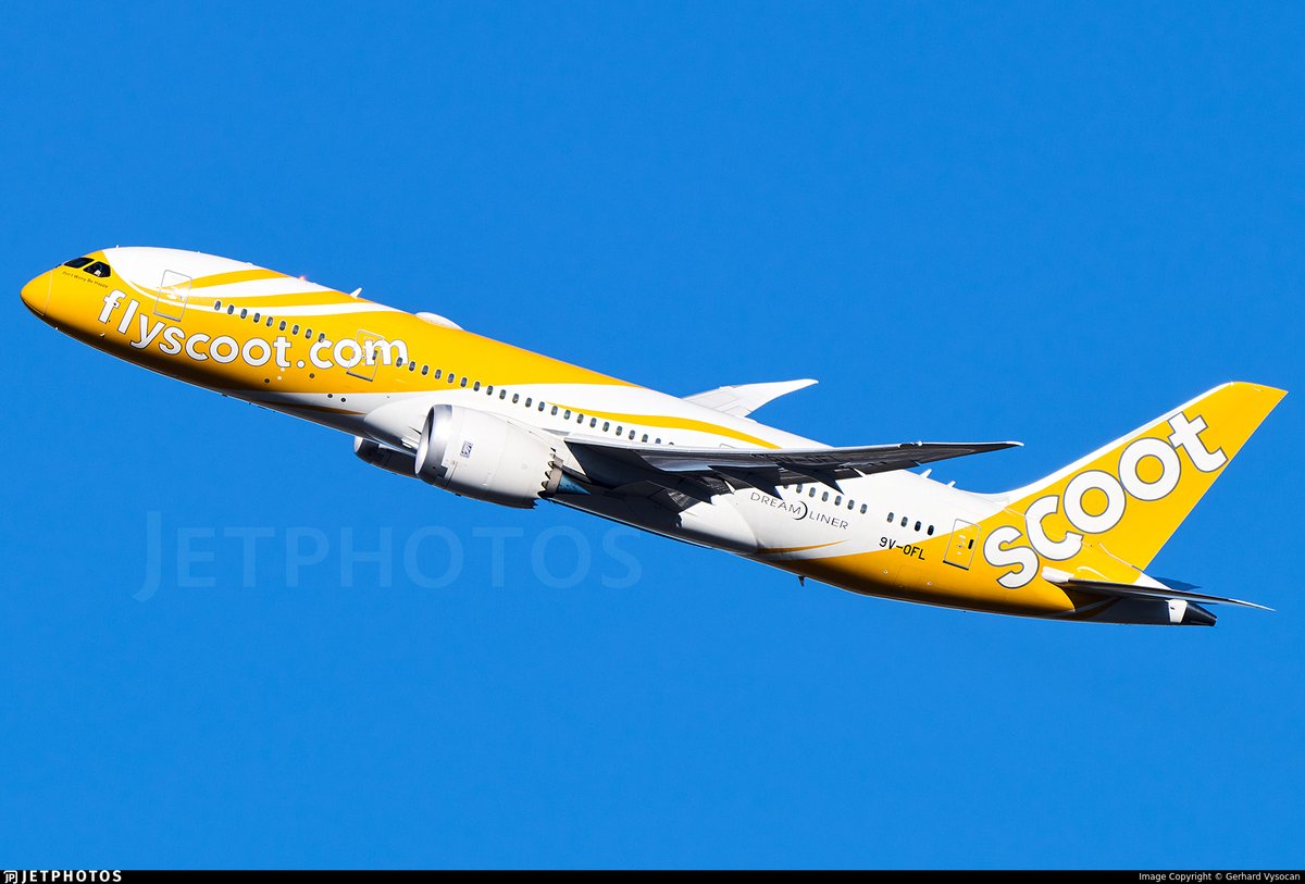 JetPhotos's tweet image. A Scoot 787 departing Vienna. jetphotos.com/photo/11978283 © Gerhard Vysocan