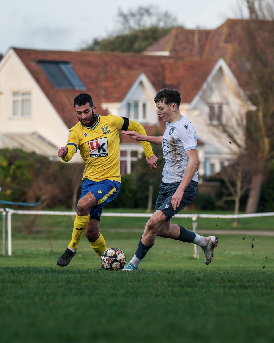 amymarshallcreative tweet media