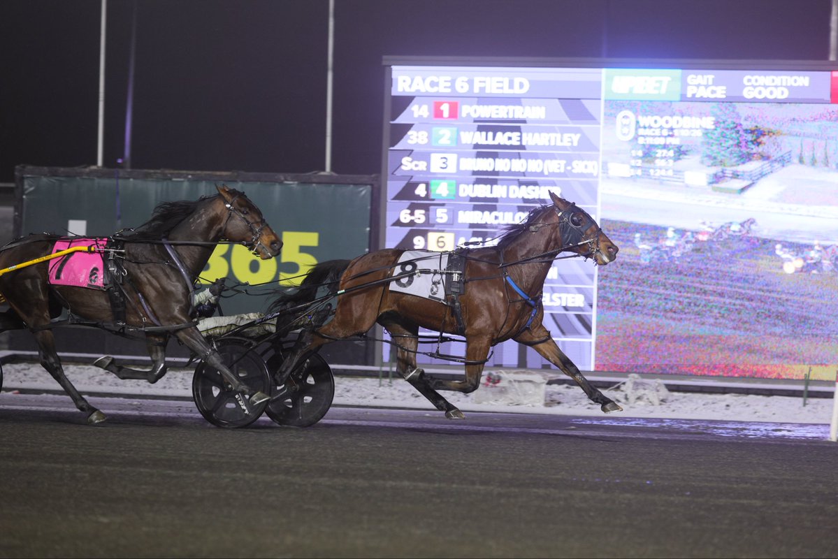 Mohawk Monday | ✅

We’re back in action with a stellar 10-race card, kicking off at 6:15 p.m. ET!

💰| $75k Guaranteed Early Pick 5
📺| Woodbine.com/mohawk/watch-r…
📖| Woodbine.com/mohawk/free-pr…