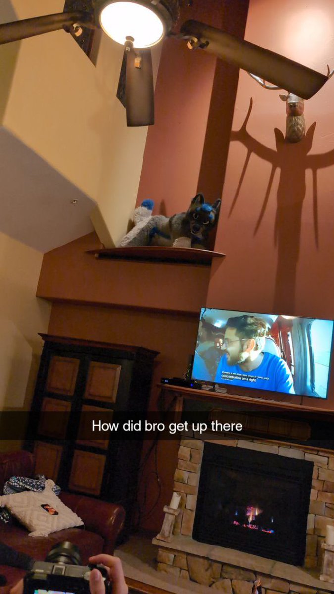 SkuchaMutt's tweet image. 📸: @SynthwaveWolfy