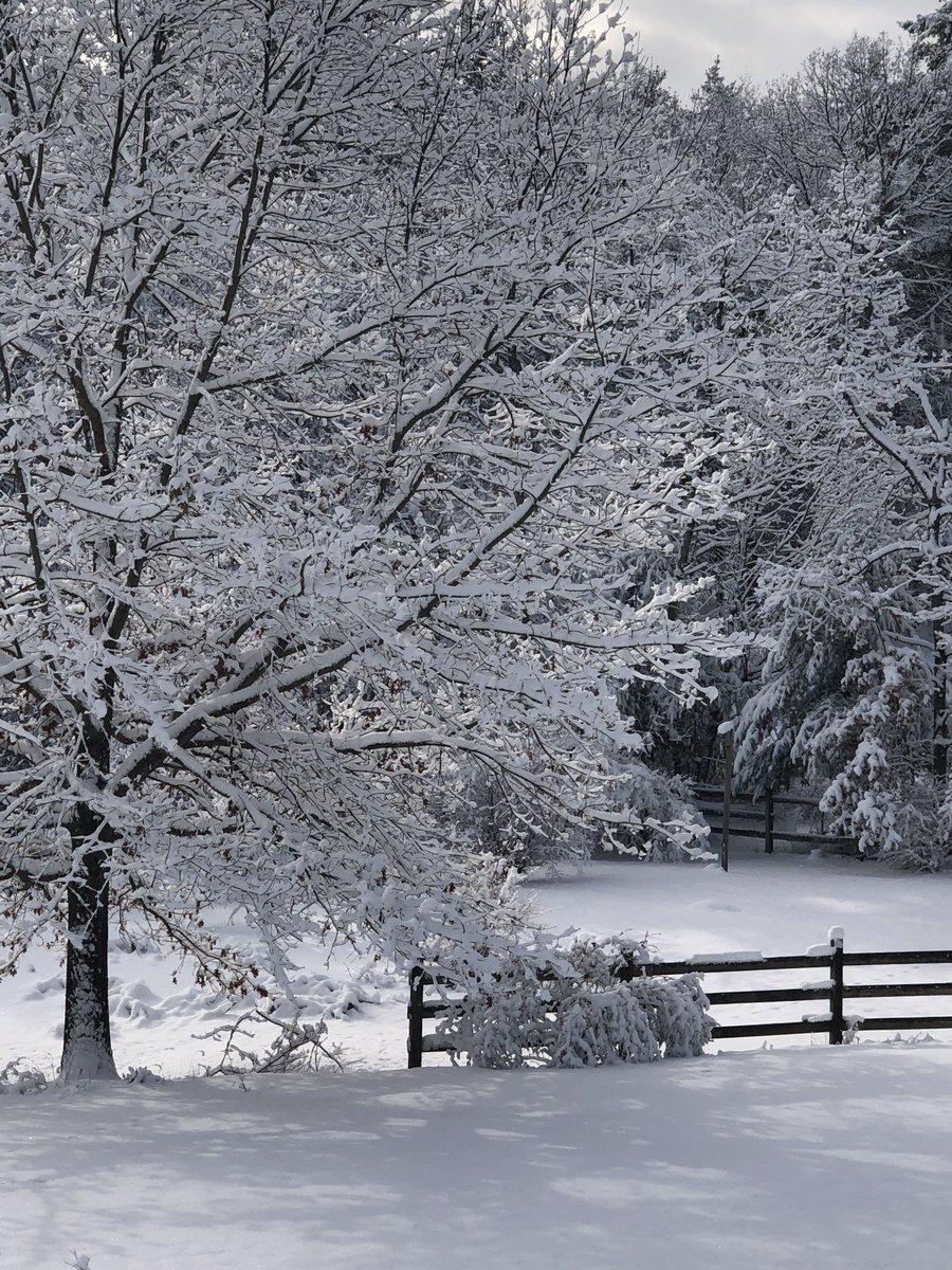 "I don't think of all the misery, but of the beauty that still remains." -Anne Frank