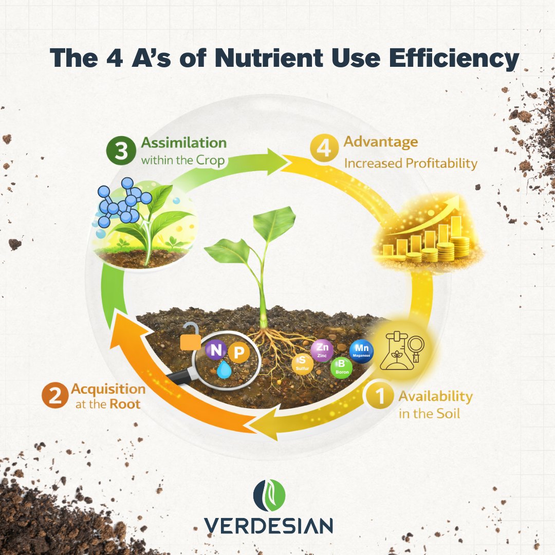 Verdesian tweet media