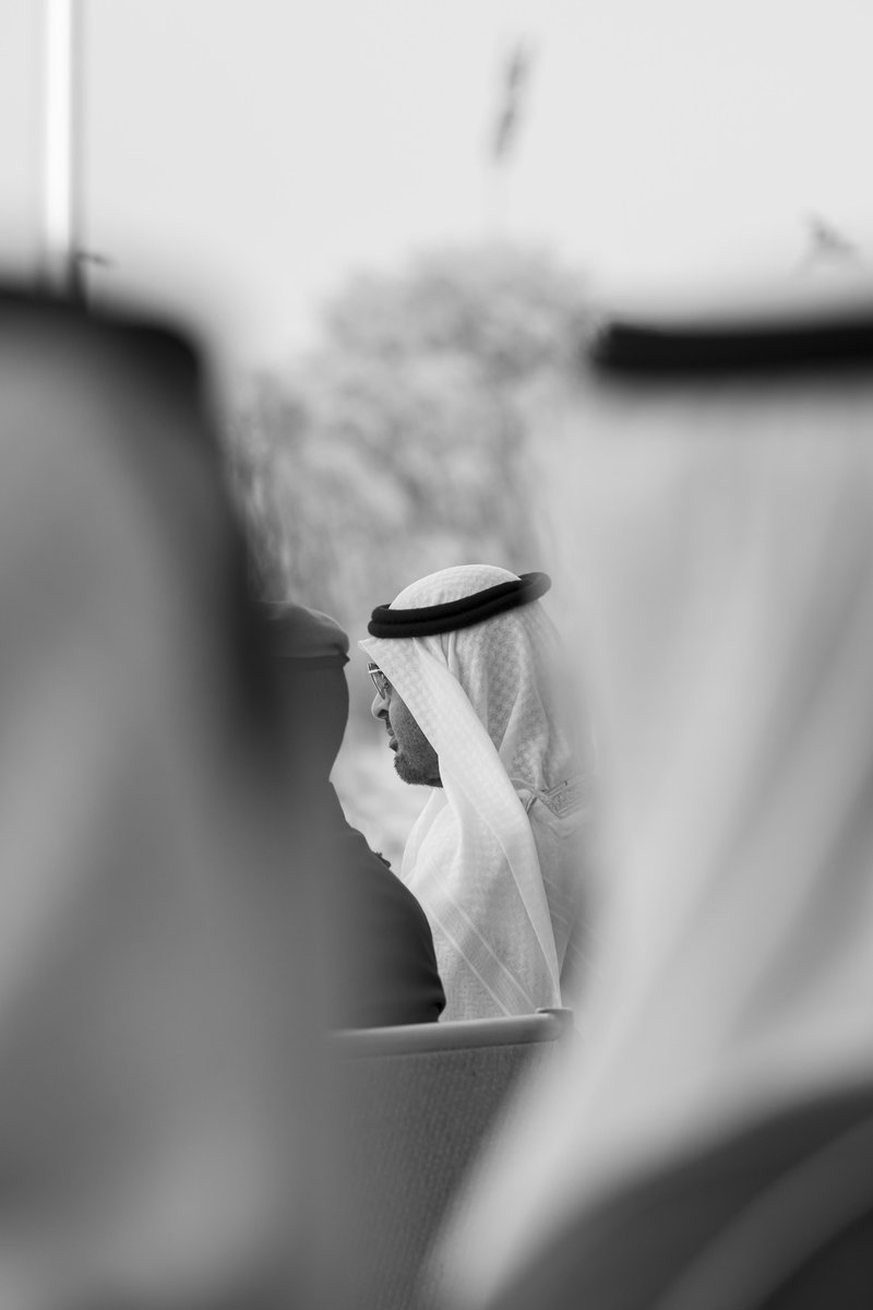 الباسل النافل ذرى كل ملدود 

#محمد_بن_زايد