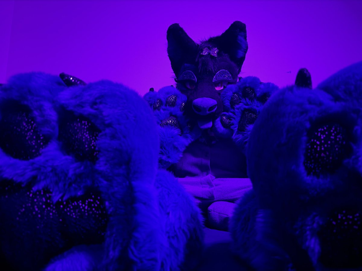 Tyler Wusky tweet media