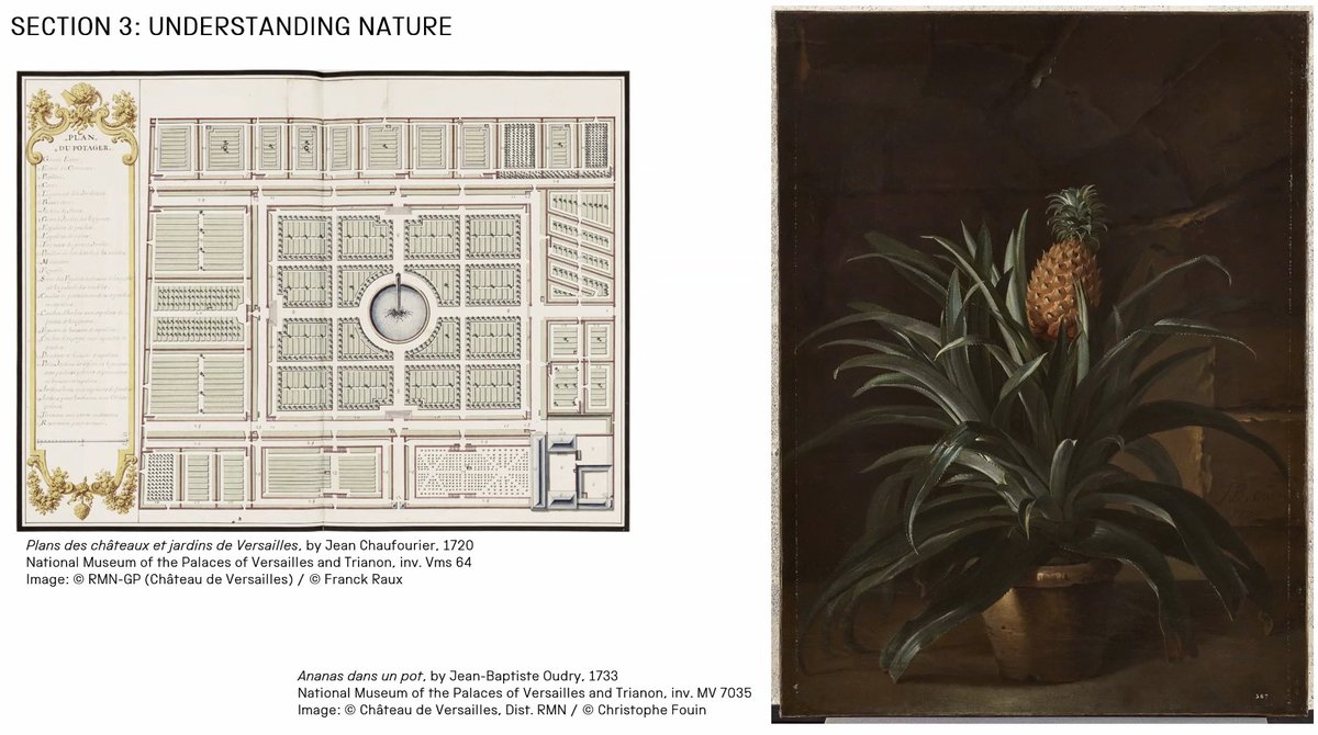 CourtStudies tweet media