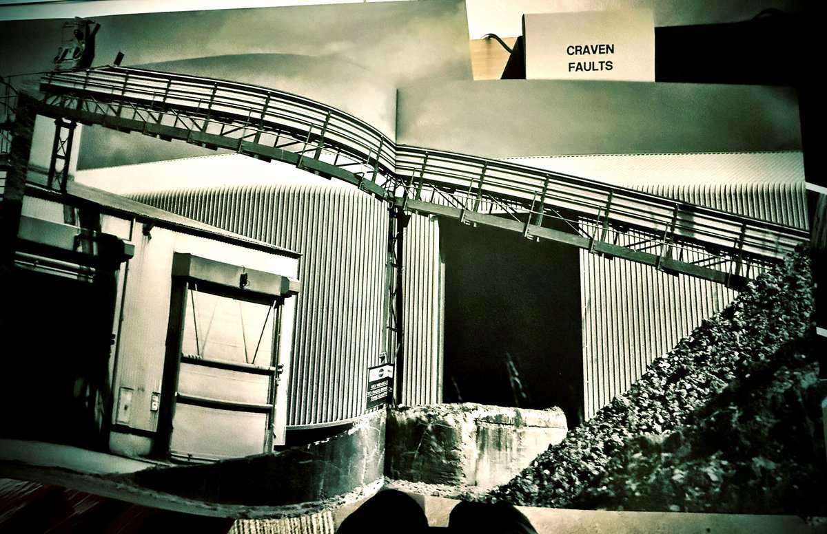 X-Ray Dex tweet media