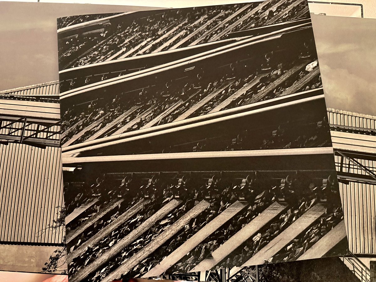 X-Ray Dex tweet media