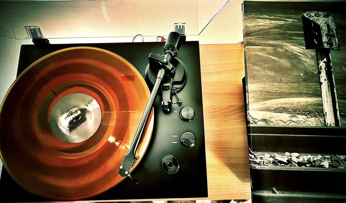 X-Ray Dex tweet media