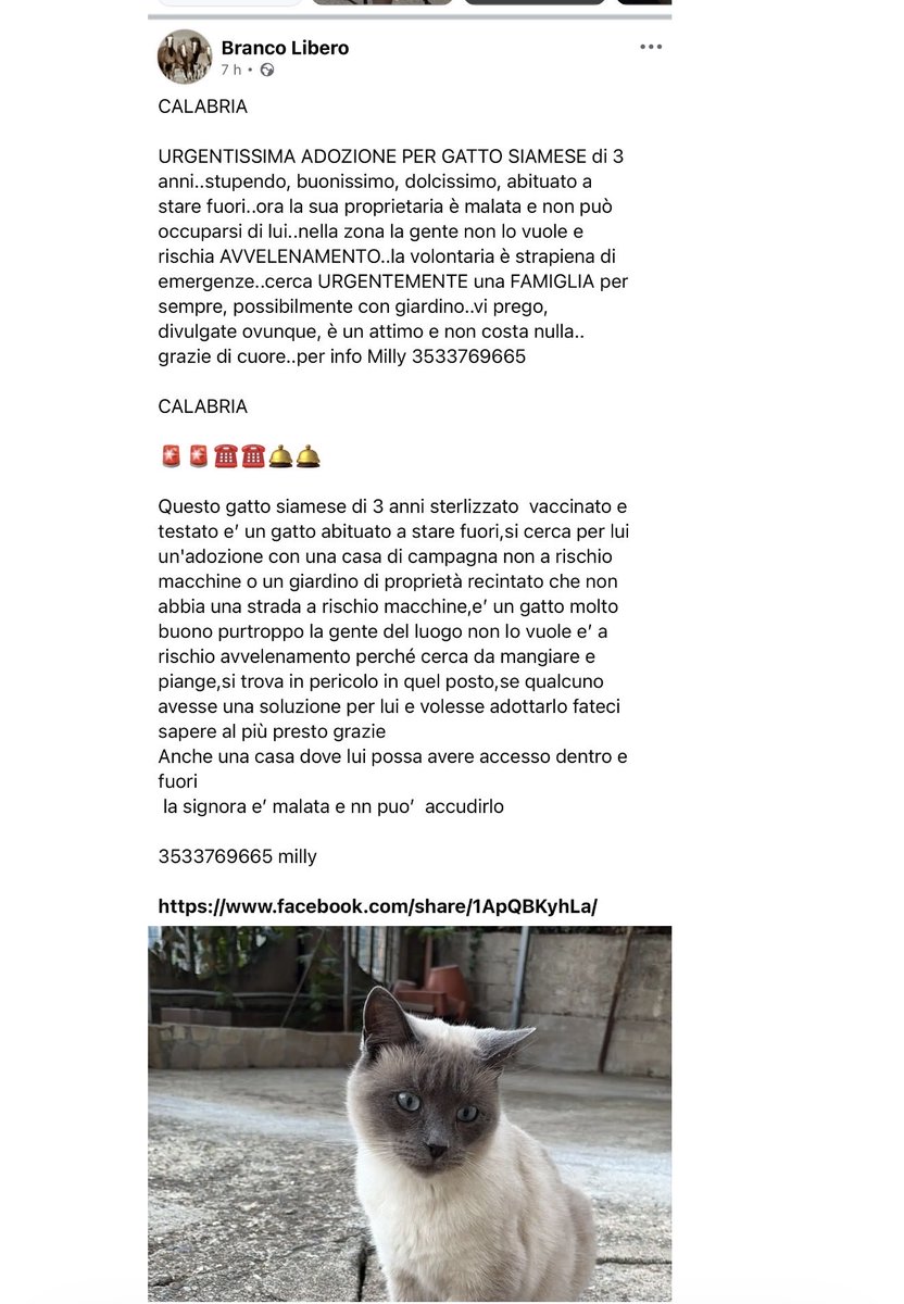 🆘🆘🆘🆘🆘🆘🆘🆘🆘🆘🆘🆘🆘🆘🆘🆘🆘🆘🆘🆘🆘🆘🆘🆘🆘🆘🆘🆘🆘🆘🆘🆘🆘🆘🆘🆘🆘🆘🆘🆘🆘🆘🆘🆘🆘🆘🆘🆘🆘🆘🆘🙏🙏🙏🙏🙏🙏🙏🙏🙏