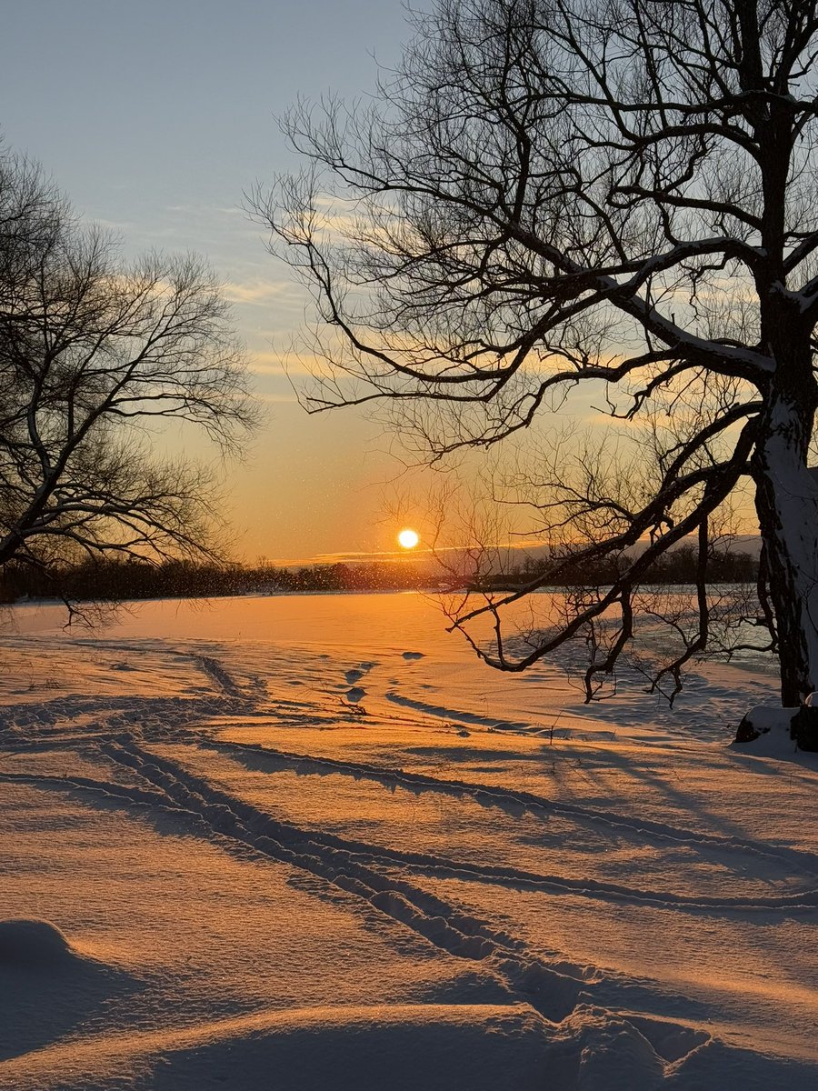 Sopheverafter's tweet image. Sunsets are my favorite!
Drop a picture of a sunset/sunrise 

#sunsets #landscape #nature