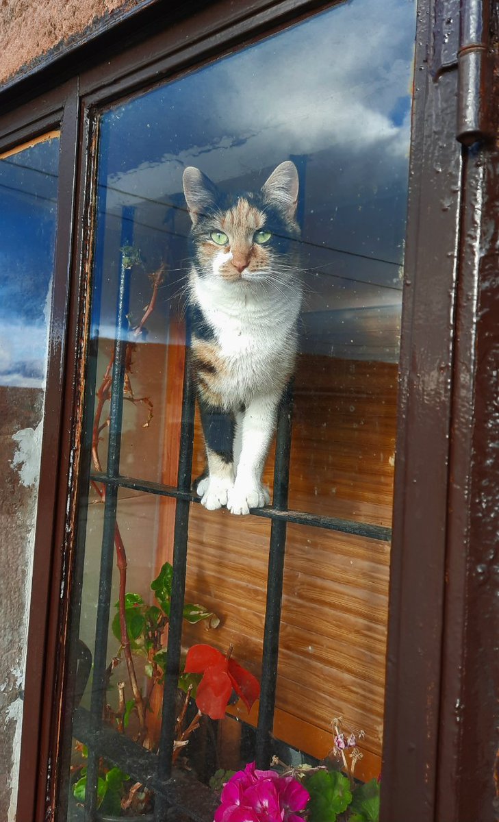 Con mal tiempo... en algun sitio habra que estar...