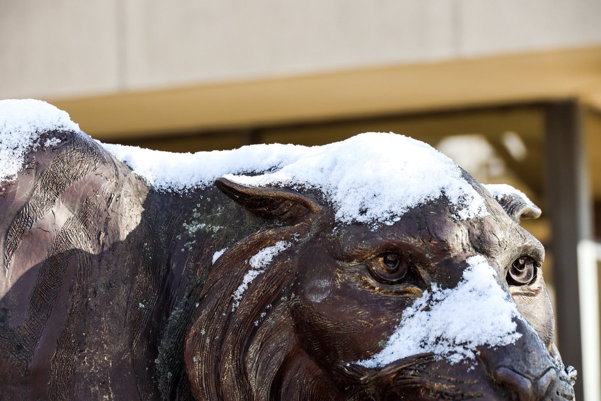 Holy Family University tweet media