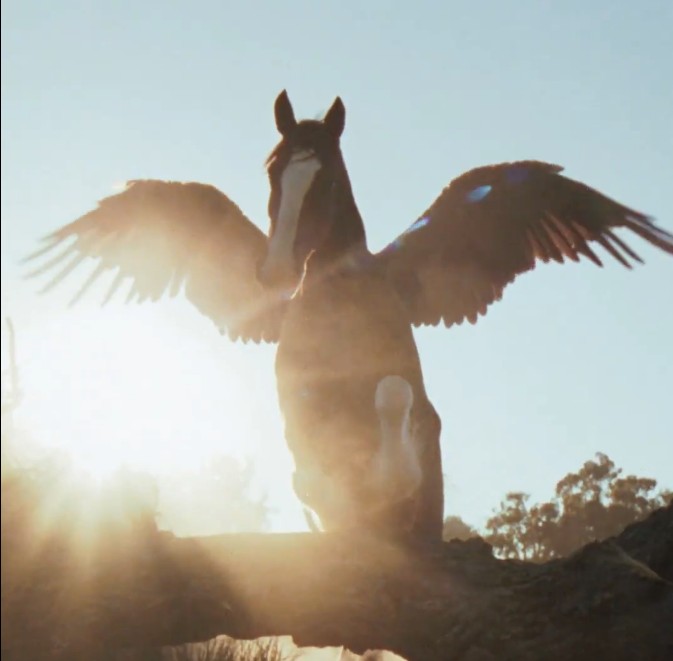 You have too see the commercial, I mean seriously!! Budweiser