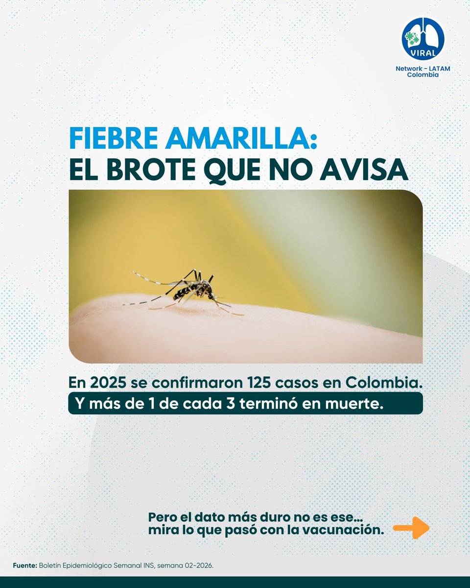 ViralNetLat's tweet photo. ⚠️ Fiebre amarilla en Colombia: en 2025 se confirmaron 125 casos y 51 muertes.
📉 Letalidad: 36,8% 😨
Dato clave: 92,8% no tenía vacunación documentada 💉🚫 https://t.co/dpMPXniI2J